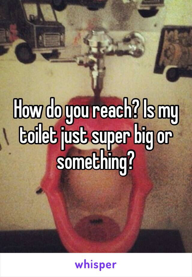 How do you reach? Is my toilet just super big or something?