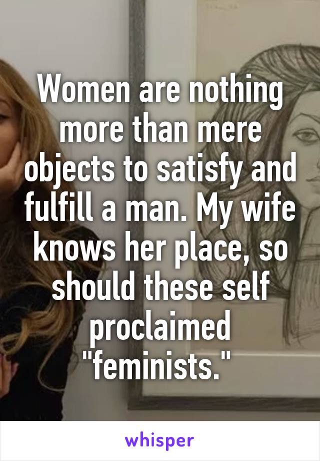 Women are nothing more than mere objects to satisfy and fulfill a man. My wife knows her place, so should these self proclaimed "feminists." 