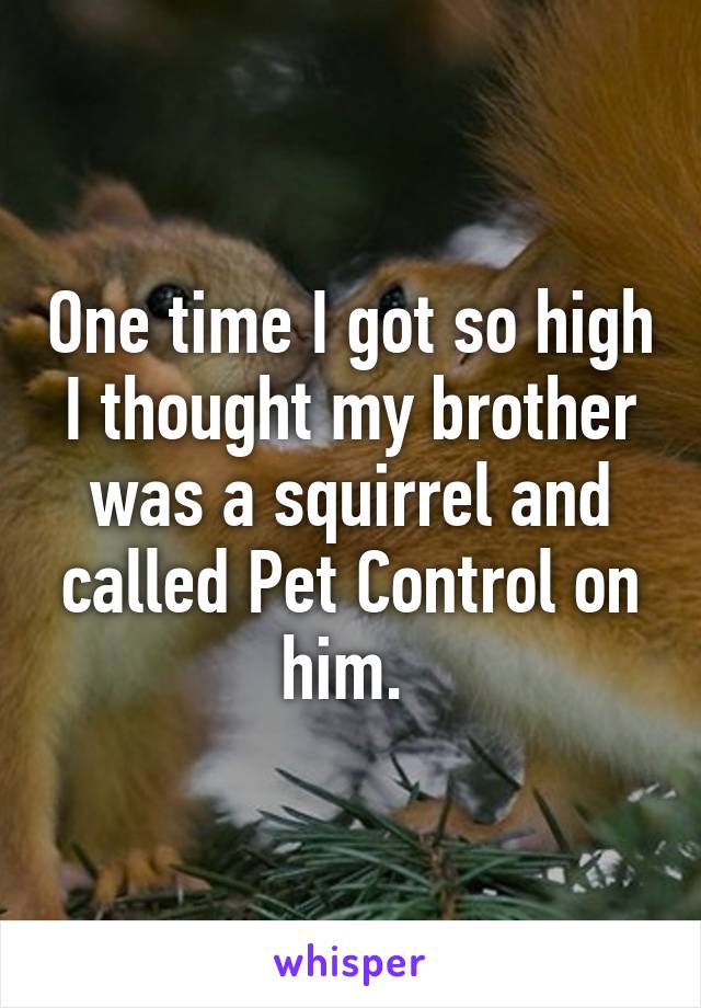 One time I got so high I thought my brother was a squirrel and called Pet Control on him. 