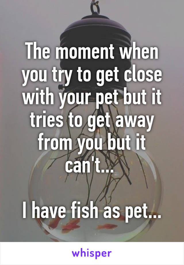 The moment when you try to get close with your pet but it tries to get away from you but it can't... 

I have fish as pet...