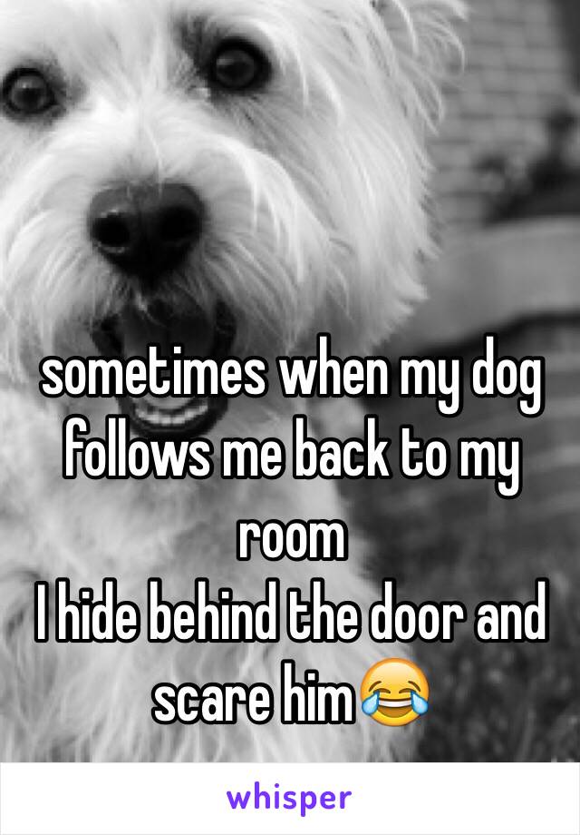 sometimes when my dog follows me back to my room 
I hide behind the door and scare him😂