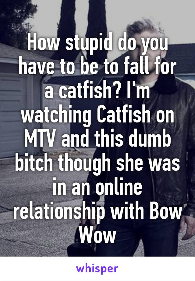 How stupid do you have to be to fall for a catfish? I'm watching Catfish on MTV and this dumb bitch though she was in an online relationship with Bow Wow