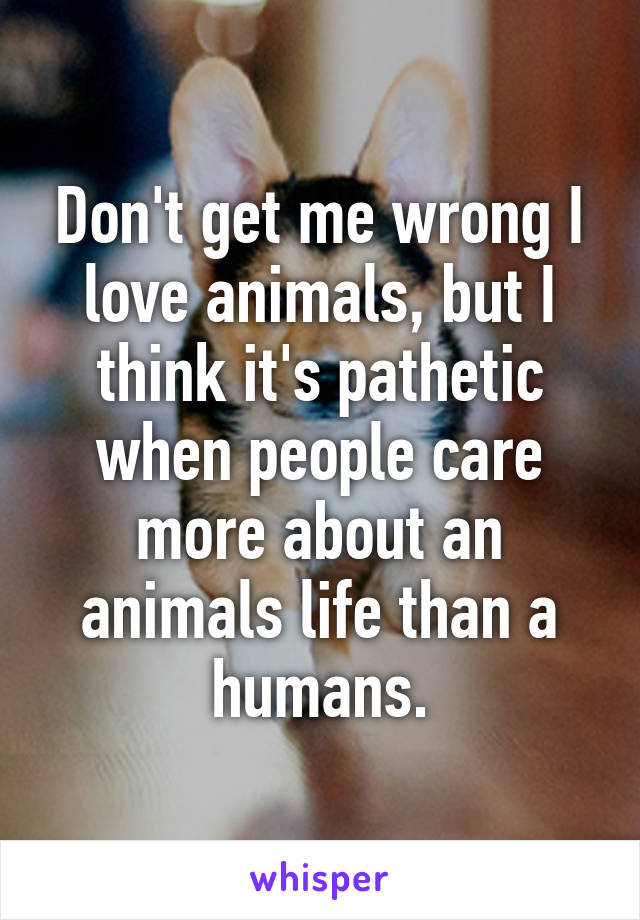 Don't get me wrong I love animals, but I think it's pathetic when people  care