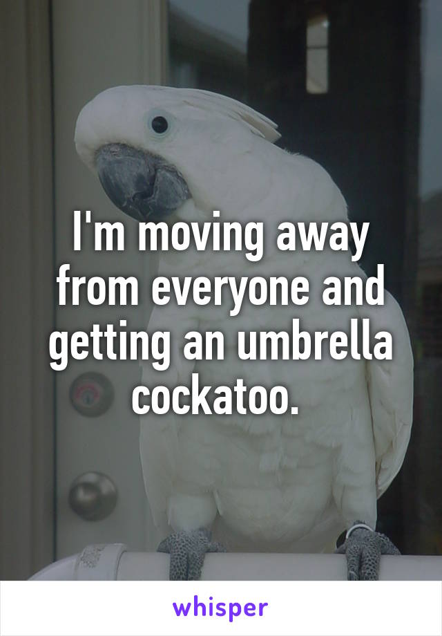 I'm moving away from everyone and getting an umbrella cockatoo. 