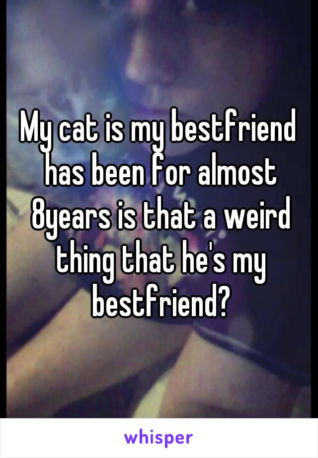 My cat is my bestfriend has been for almost 8years is that a weird thing that he's my bestfriend?
