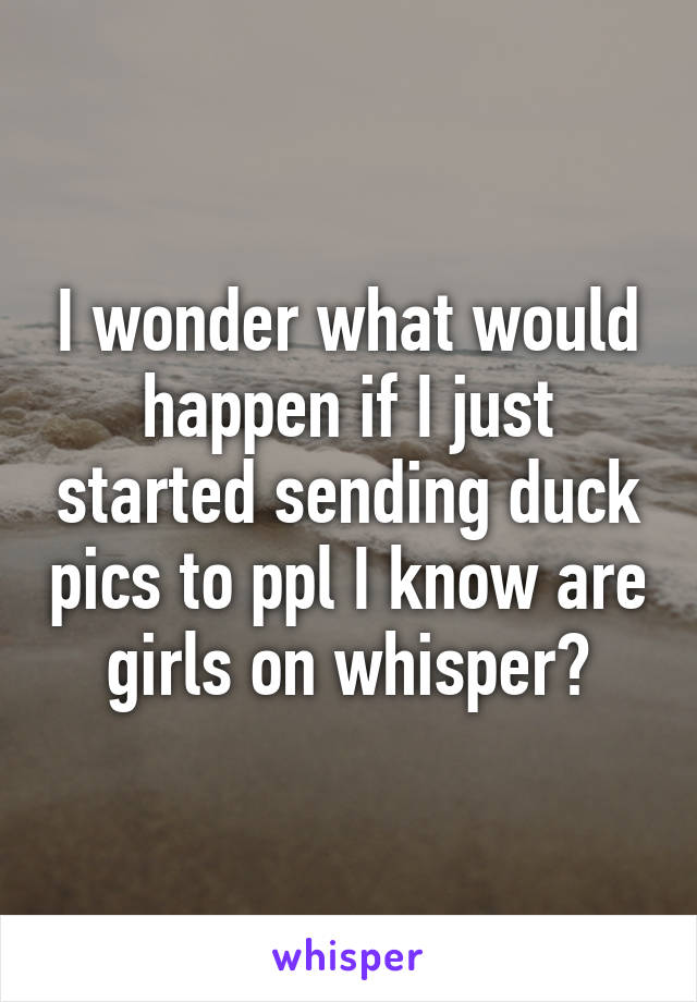 I wonder what would happen if I just started sending duck pics to ppl I know are girls on whisper?
