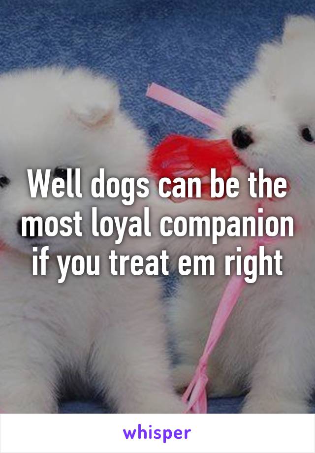 Well dogs can be the most loyal companion if you treat em right
