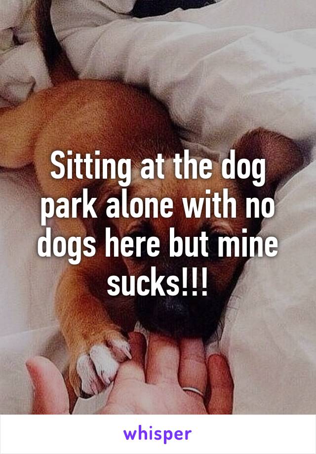 Sitting at the dog park alone with no dogs here but mine sucks!!!