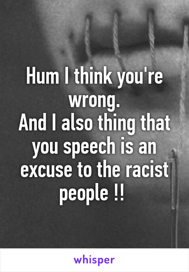 Hum I think you're wrong.
And I also thing that you speech is an excuse to the racist people !! 