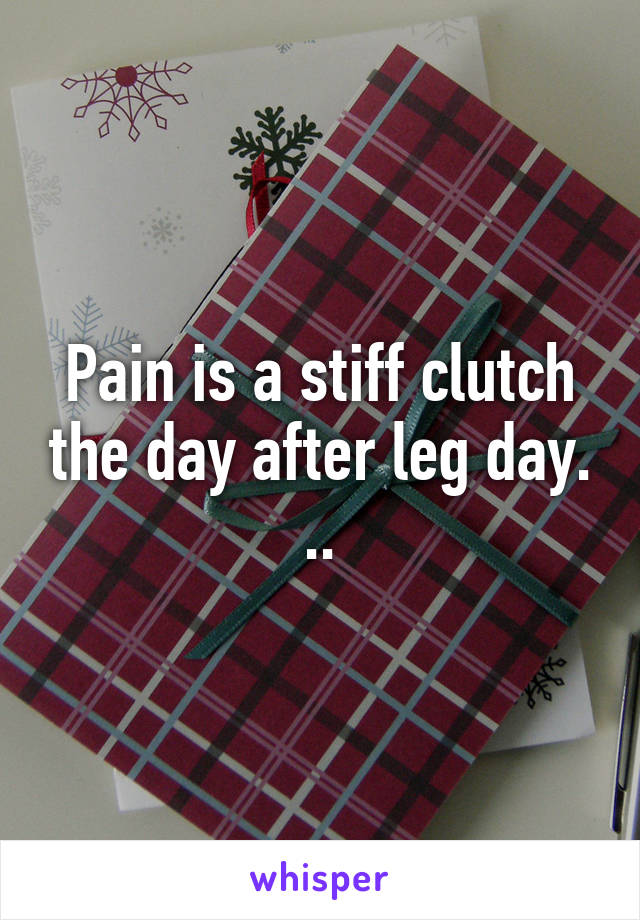 Pain is a stiff clutch the day after leg day. ..