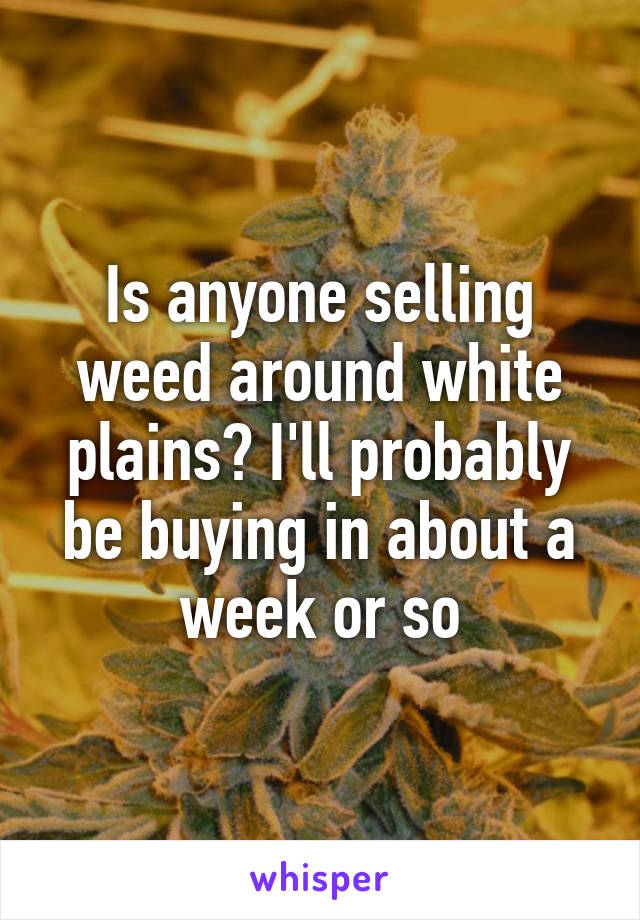 Is anyone selling weed around white plains? I'll probably be buying in about a week or so