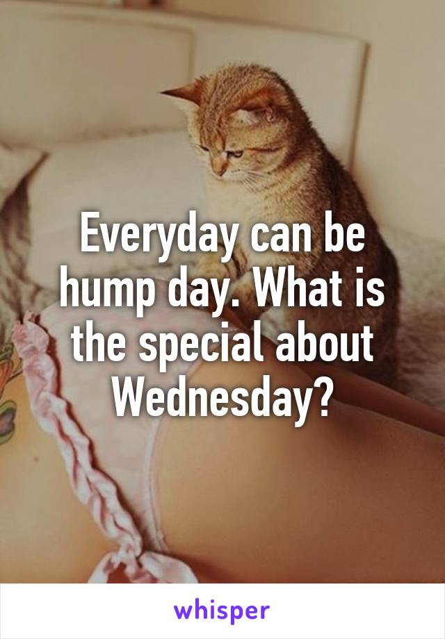 Everyday can be hump day. What is the special about Wednesday?