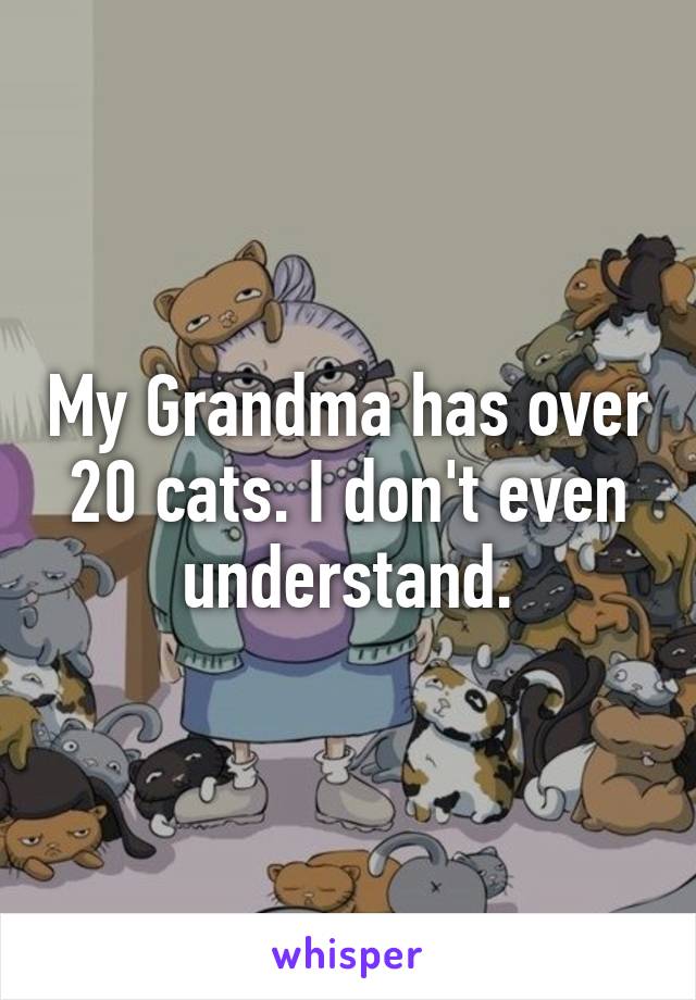 My Grandma has over 20 cats. I don't even understand.