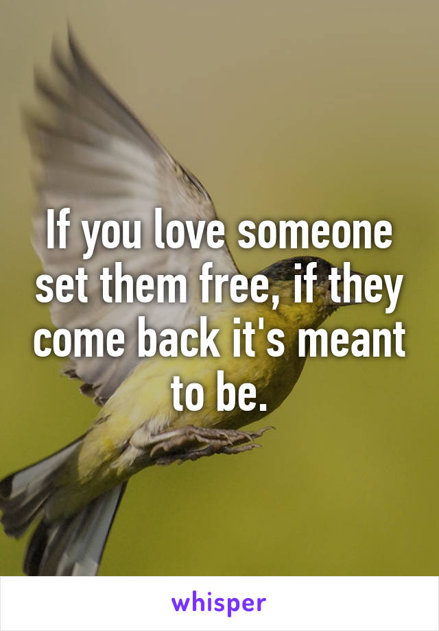 If you love someone set them free, if they come back it's meant to be.