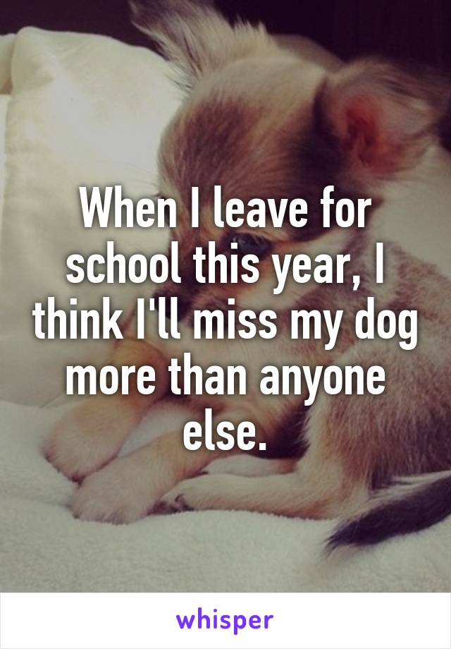 When I leave for school this year, I think I'll miss my dog more than anyone else.