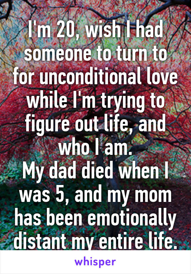 I'm 20, wish I had someone to turn to for unconditional love while I'm trying to figure out life, and who I am.
My dad died when I was 5, and my mom has been emotionally distant my entire life.
