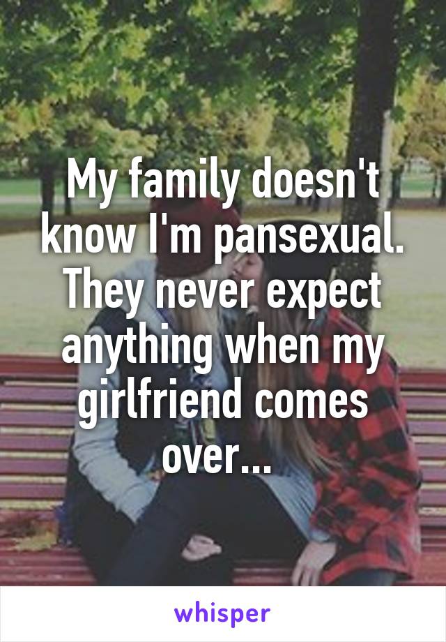 My family doesn't know I'm pansexual. They never expect anything when my girlfriend comes over... 