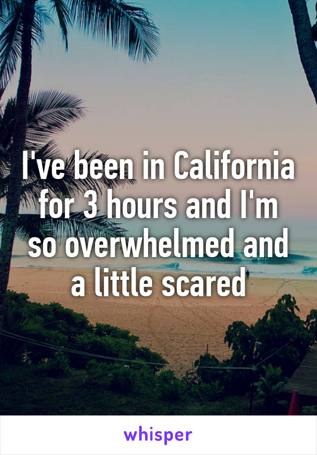 I've been in California for 3 hours and I'm so overwhelmed and a little scared