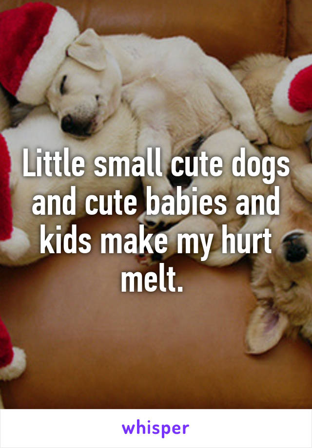 Little small cute dogs and cute babies and kids make my hurt melt. 