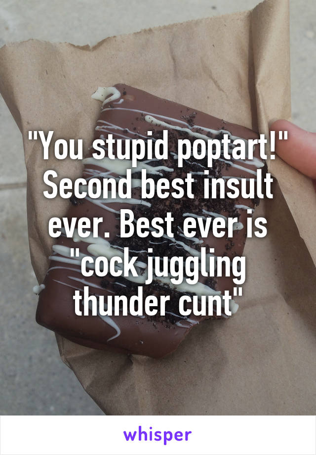 "You stupid poptart!" Second best insult ever. Best ever is "cock juggling thunder cunt"