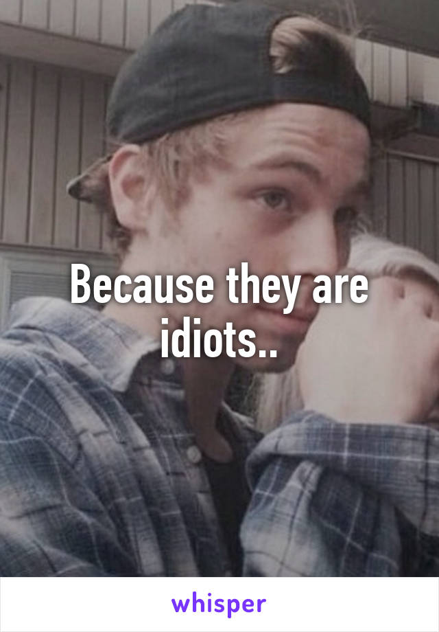 Because they are idiots..