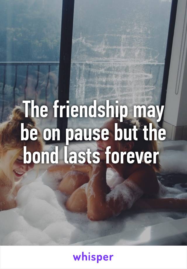 The friendship may be on pause but the bond lasts forever 