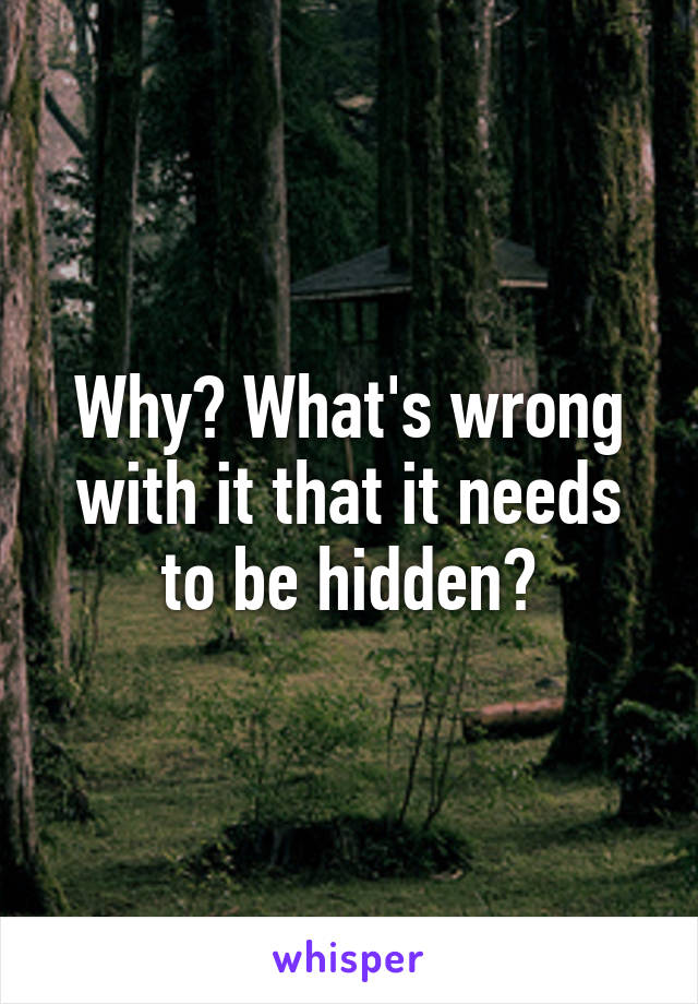Why? What's wrong with it that it needs to be hidden?