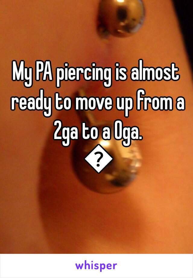 My PA piercing is almost ready to move up from a 2ga to a 0ga. 😃