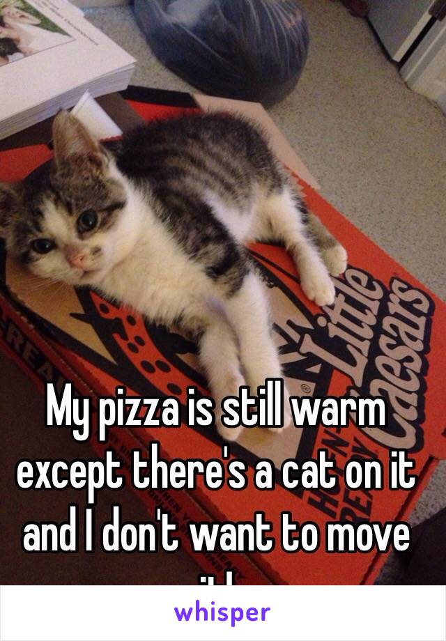 My pizza is still warm except there's a cat on it and I don't want to move it!