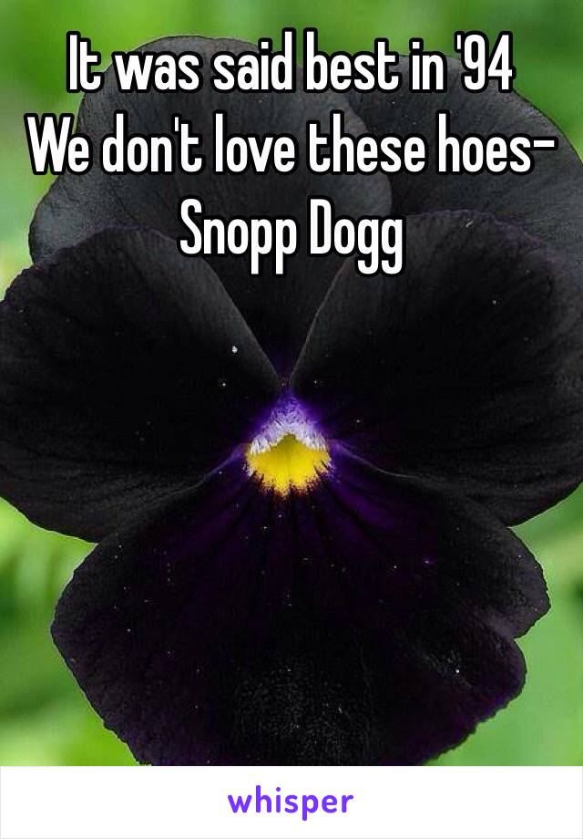 It was said best in '94 
We don't love these hoes- Snopp Dogg