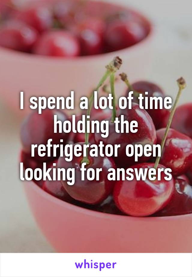 I spend a lot of time holding the refrigerator open looking for answers