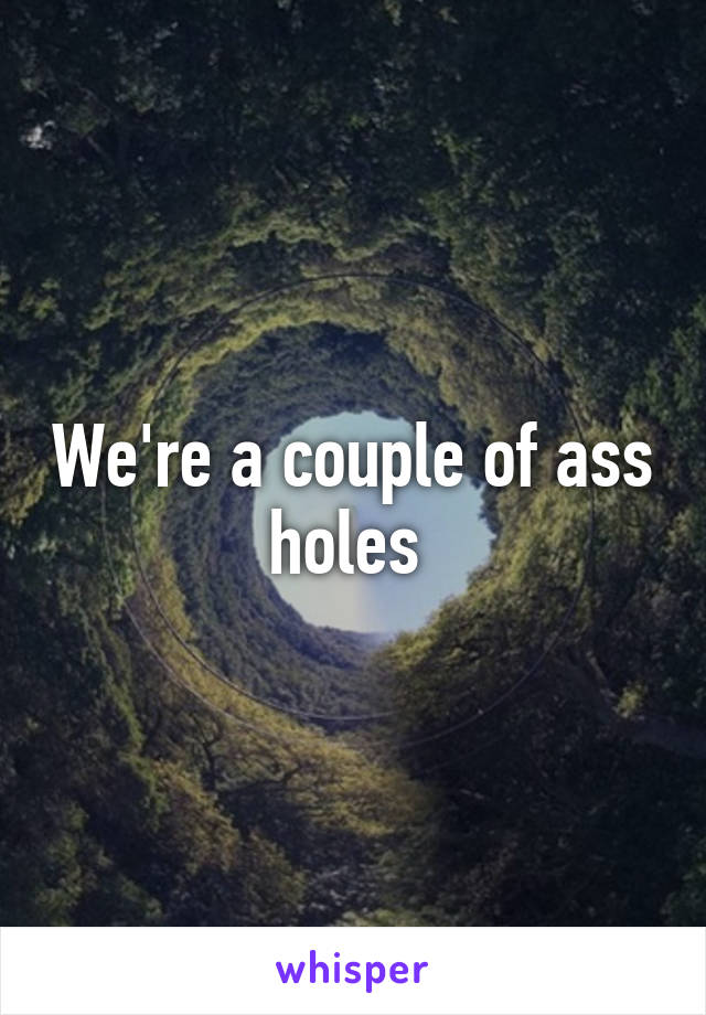 We're a couple of ass holes 