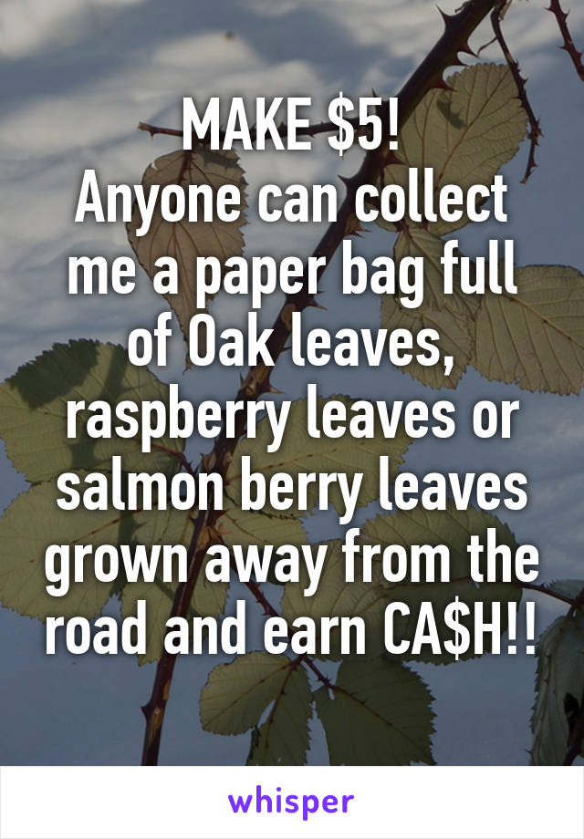 MAKE $5!
Anyone can collect me a paper bag full of Oak leaves, raspberry leaves or salmon berry leaves grown away from the road and earn CA$H!! 