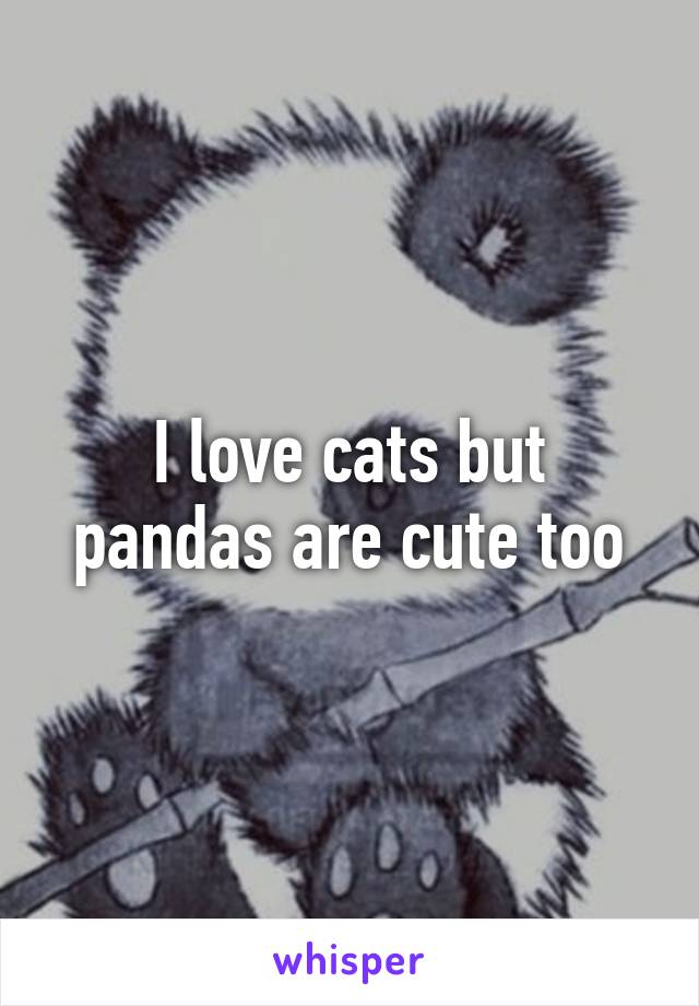 I love cats but pandas are cute too
