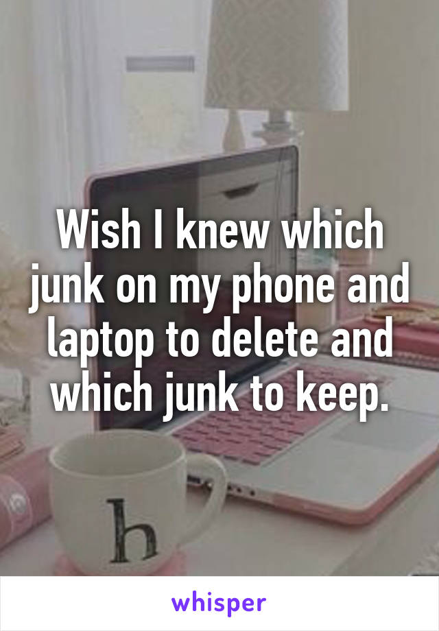 Wish I knew which junk on my phone and laptop to delete and which junk to keep.