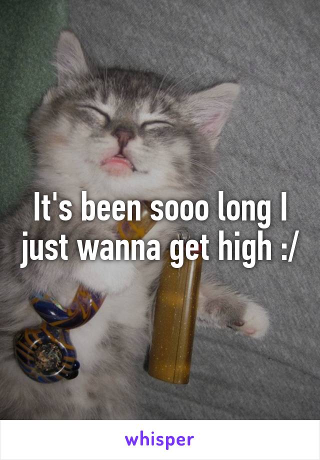 It's been sooo long I just wanna get high :/