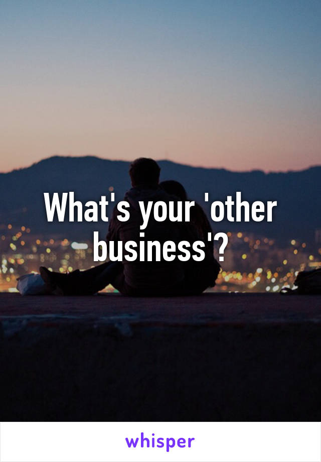 What's your 'other business'?