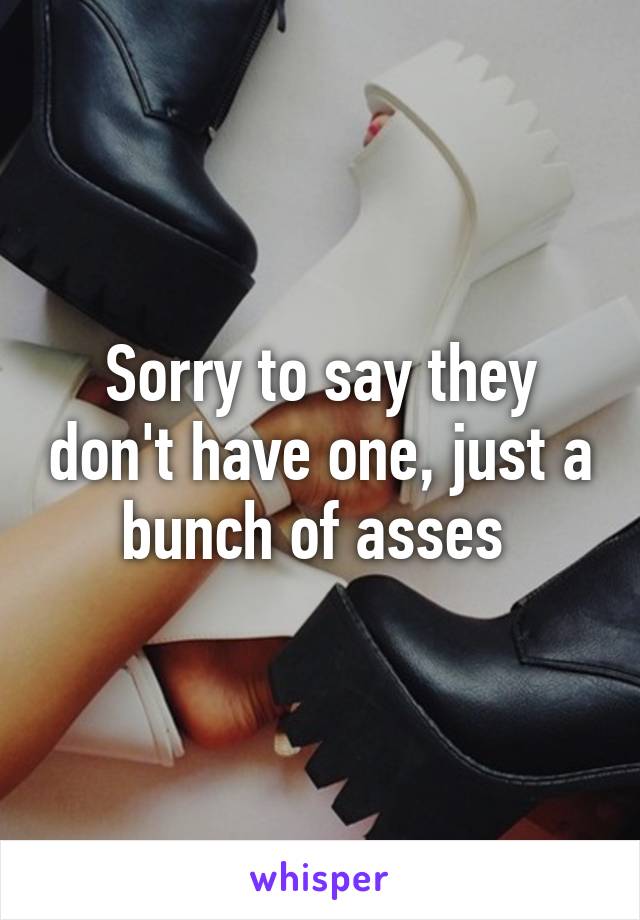 Sorry to say they don't have one, just a bunch of asses 