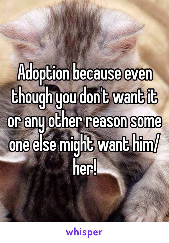 Adoption because even though you don't want it or any other reason some one else might want him/her!