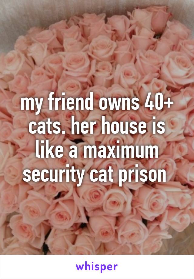 my friend owns 40+ cats. her house is like a maximum security cat prison 