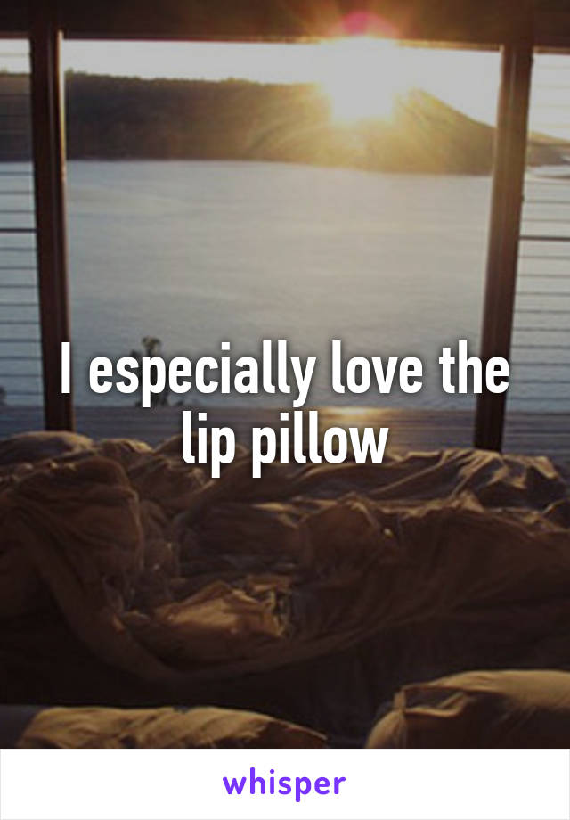 I especially love the lip pillow
