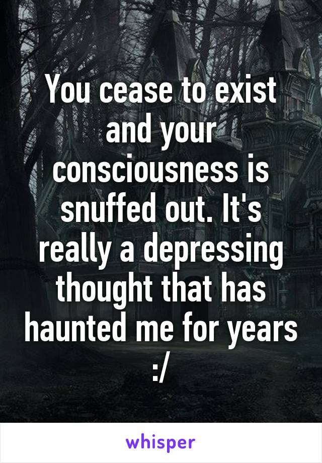 You cease to exist and your consciousness is snuffed out. It's really a depressing thought that has haunted me for years :/