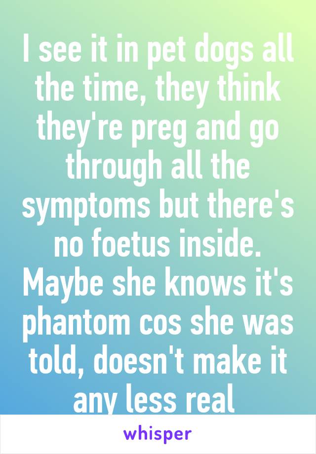 I see it in pet dogs all the time, they think they're preg and go through all the symptoms but there's no foetus inside. Maybe she knows it's phantom cos she was told, doesn't make it any less real 