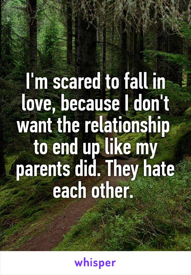 I'm scared to fall in love, because I don't want the relationship  to end up like my parents did. They hate each other. 