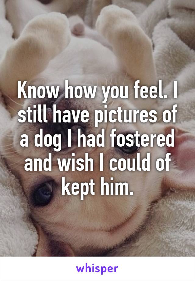 Know how you feel. I still have pictures of a dog I had fostered and wish I could of kept him.