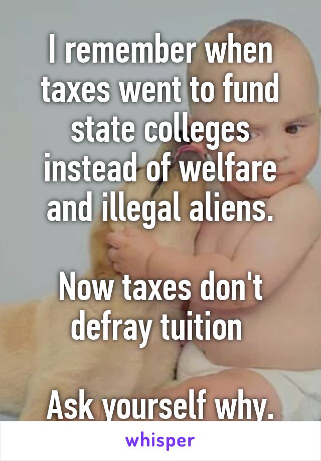 I remember when taxes went to fund state colleges instead of welfare and illegal aliens.

Now taxes don't defray tuition 

Ask yourself why.