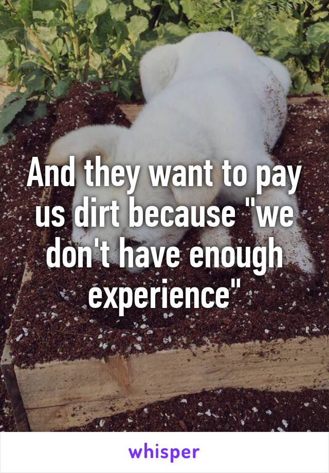 And they want to pay us dirt because "we don't have enough experience"