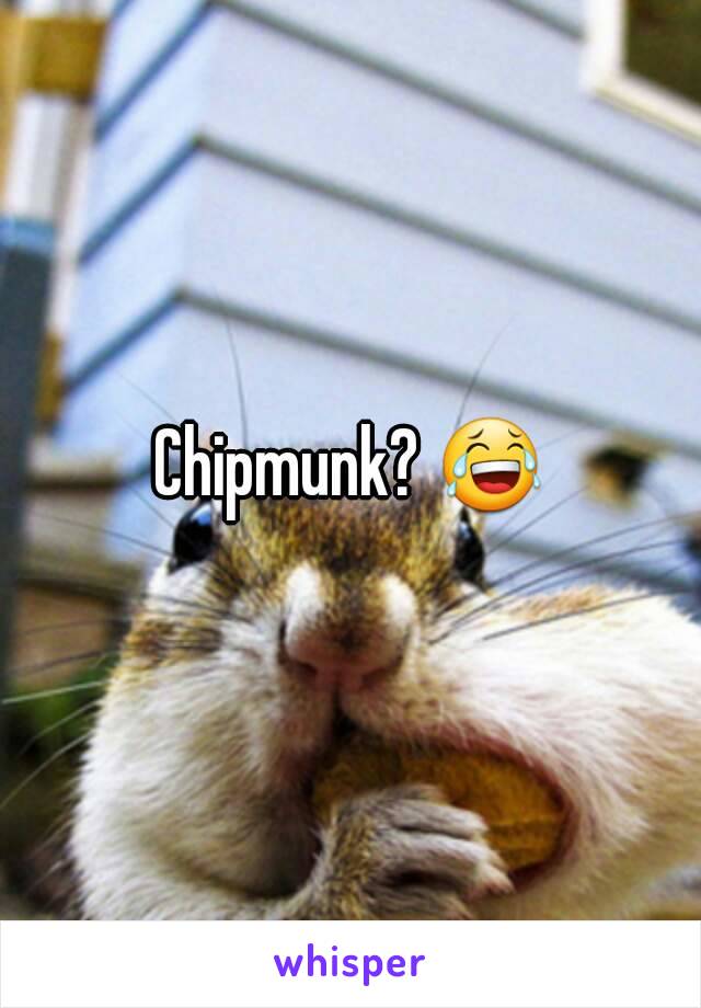 Chipmunk? 😂