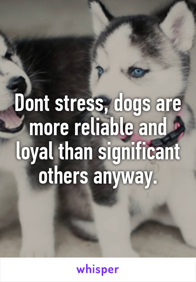 Dont stress, dogs are more reliable and loyal than significant others anyway.