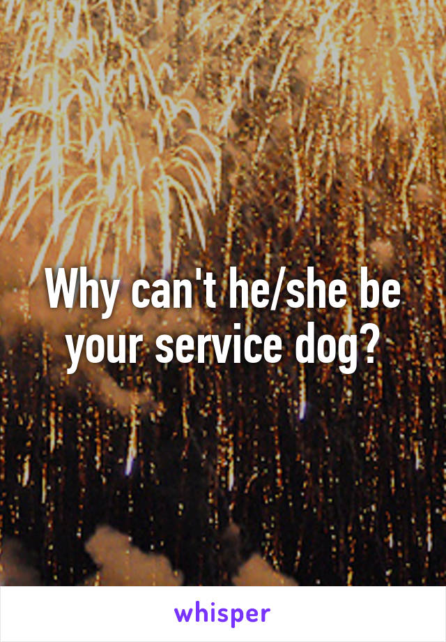 Why can't he/she be your service dog?